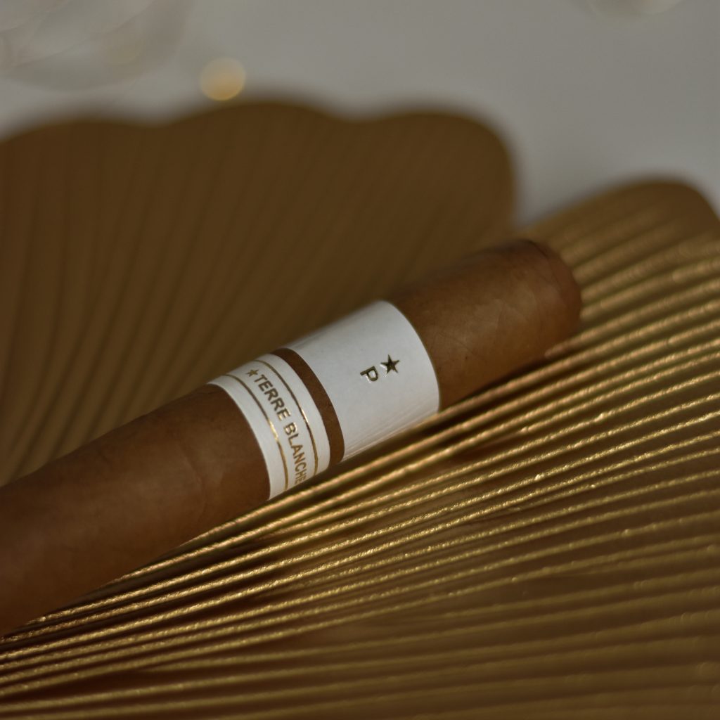 Cygaro Patoro Terre Blanche Robusto polskiaficionado.pl