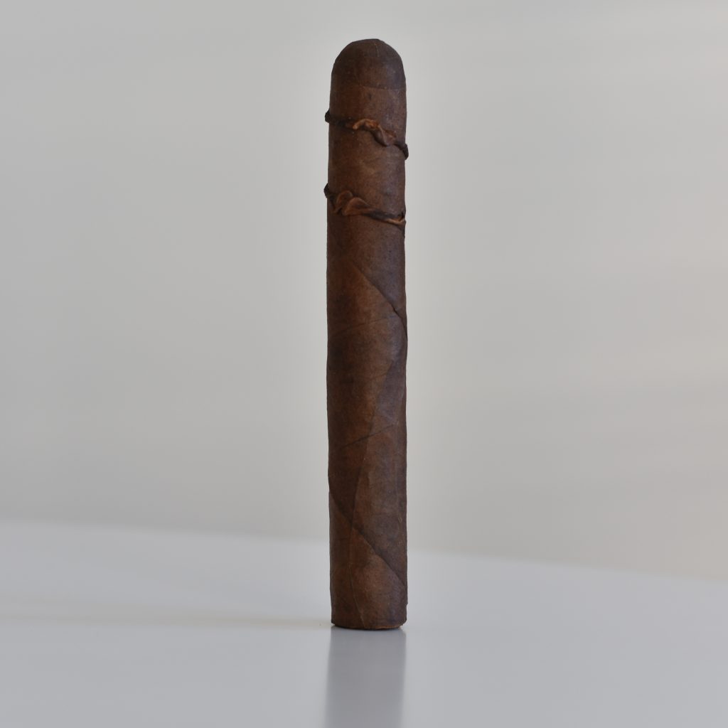 CAO Amazon Anaconda polskiaficionado.pl