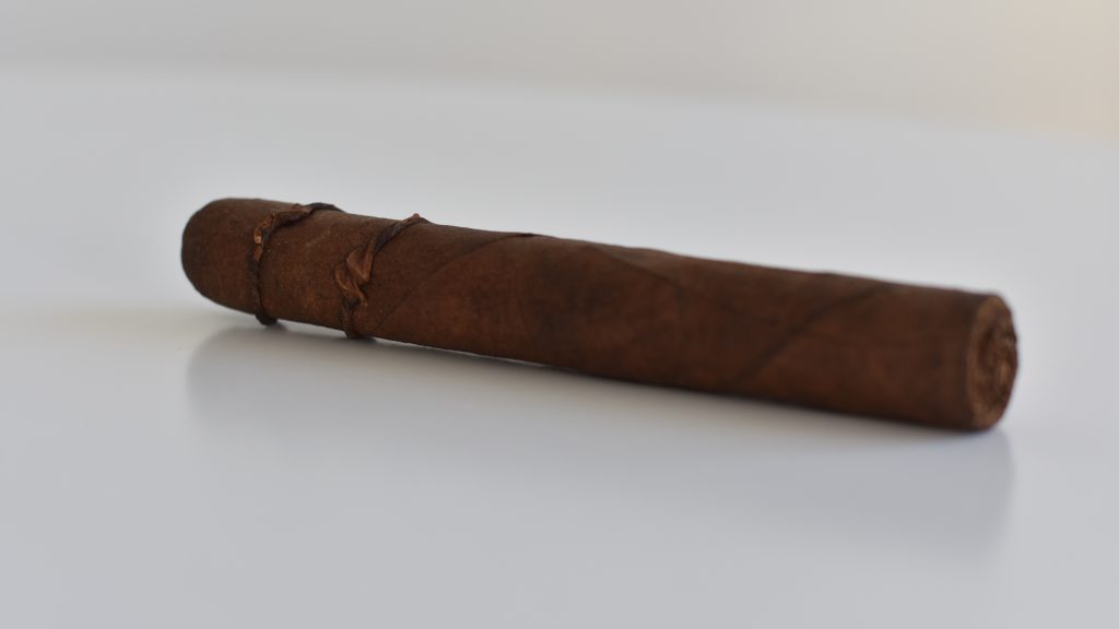 CAO Amazon Anaconda polskiaficionado.pl