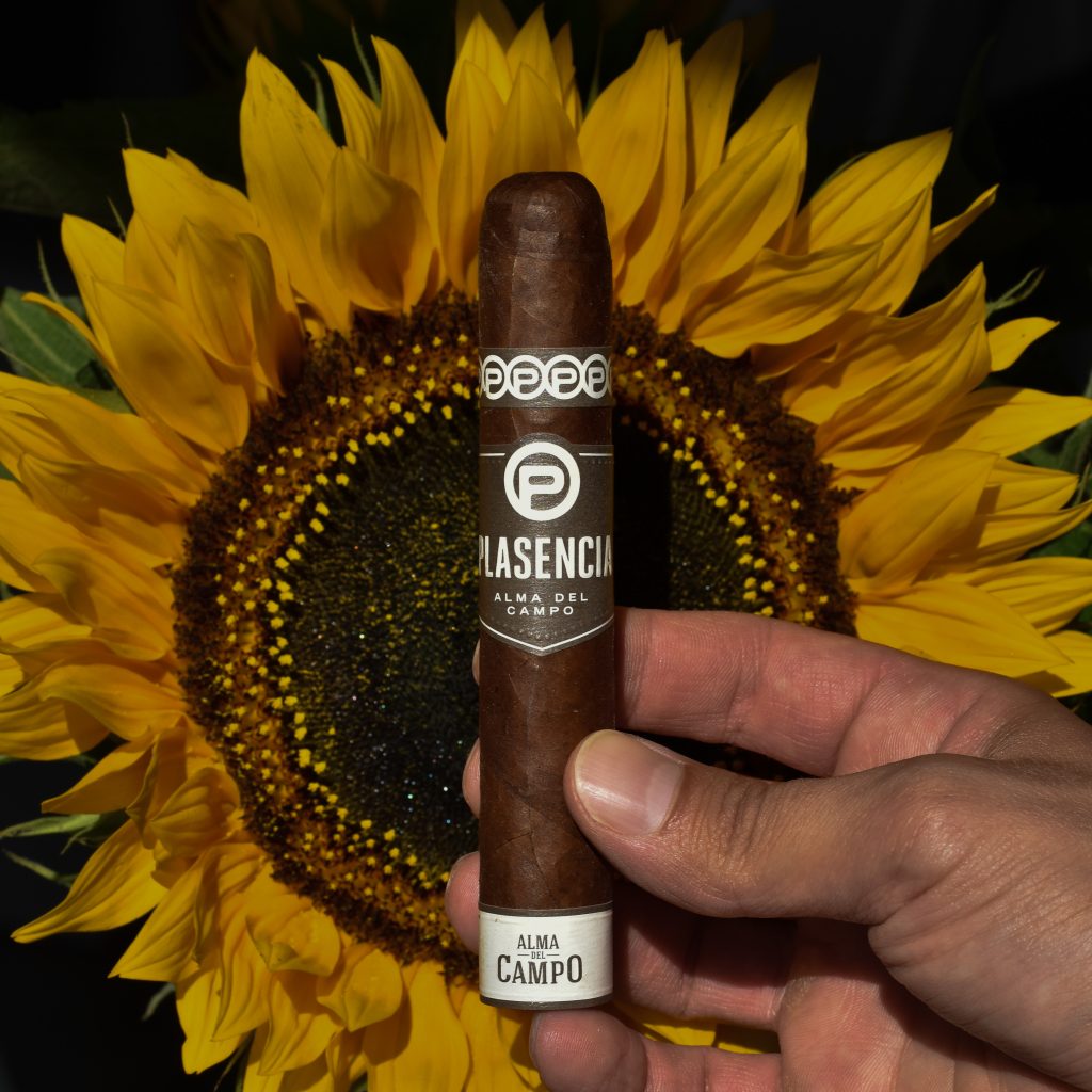 Cygaro Plasencia Alma del Campo Tribu polskiaficionado.pl