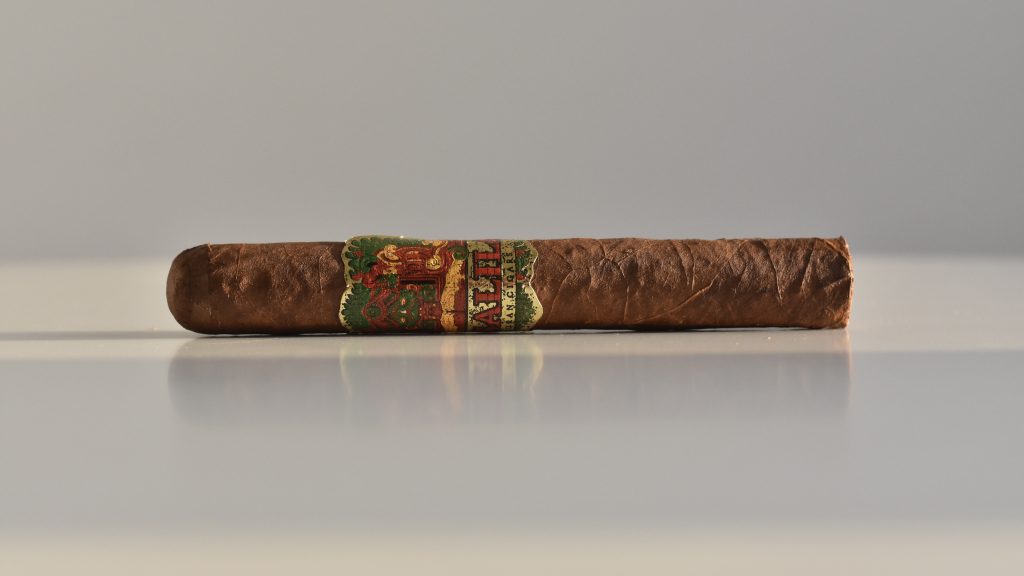 Oscar Valladares Rosalila Mundo Presente Corojo Toro Polski Aficionado