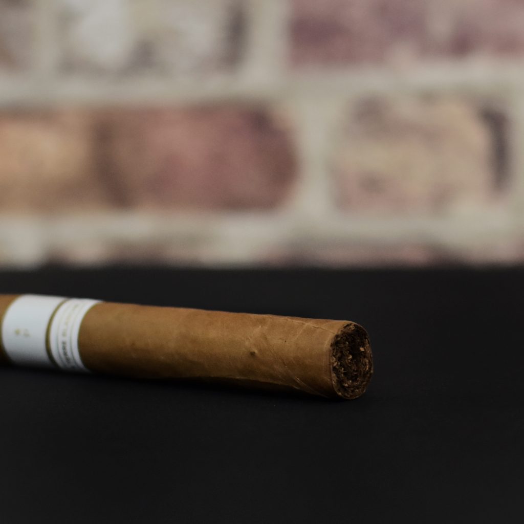 Patoro Terre Blanche Gordo Polski Aficionado