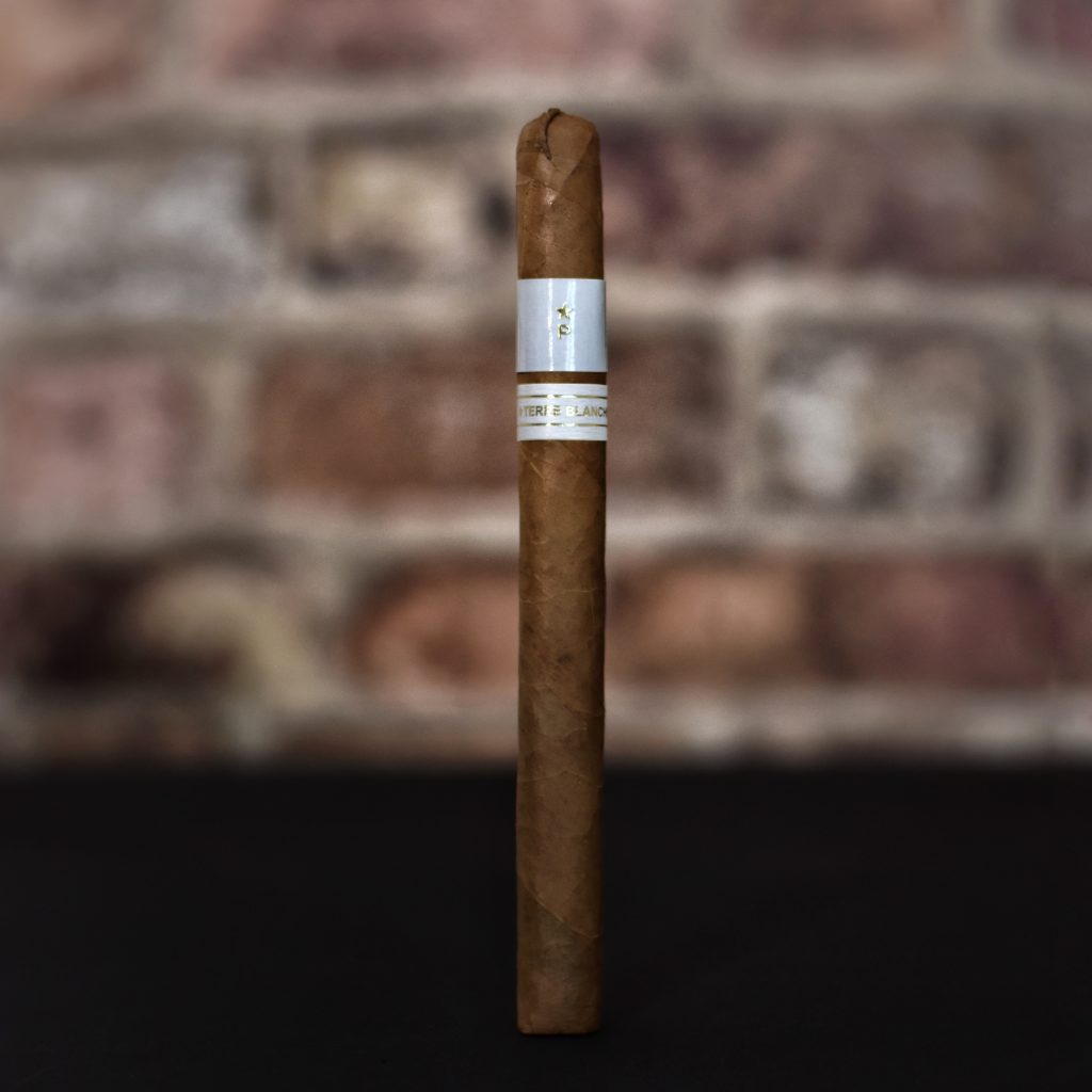 Cygaro Patoro Terre Blanche Lancero Polski Aficionado 