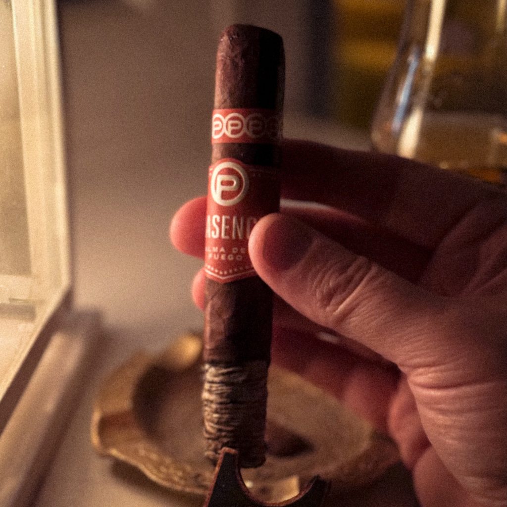 Plasencia Alma del Fuego Candente Polski Aficionado