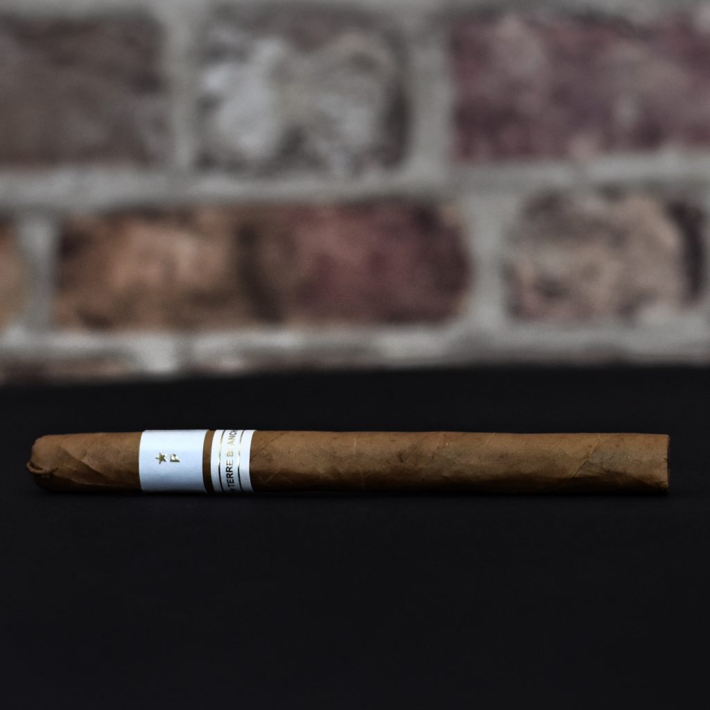 Cygaro Patoro Terre Blanche Lancero Polski Aficionado 