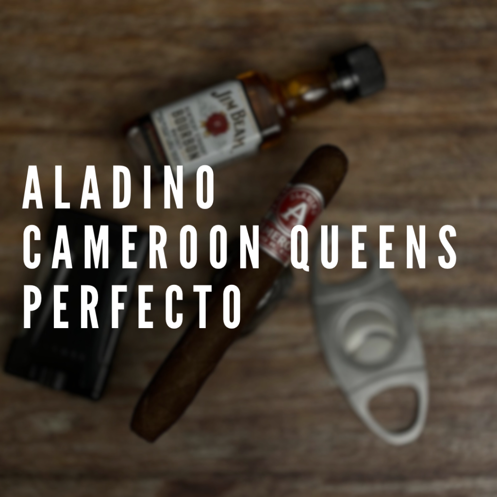 Aladino Cameroon Queens Perfecto Polski Aficionado
