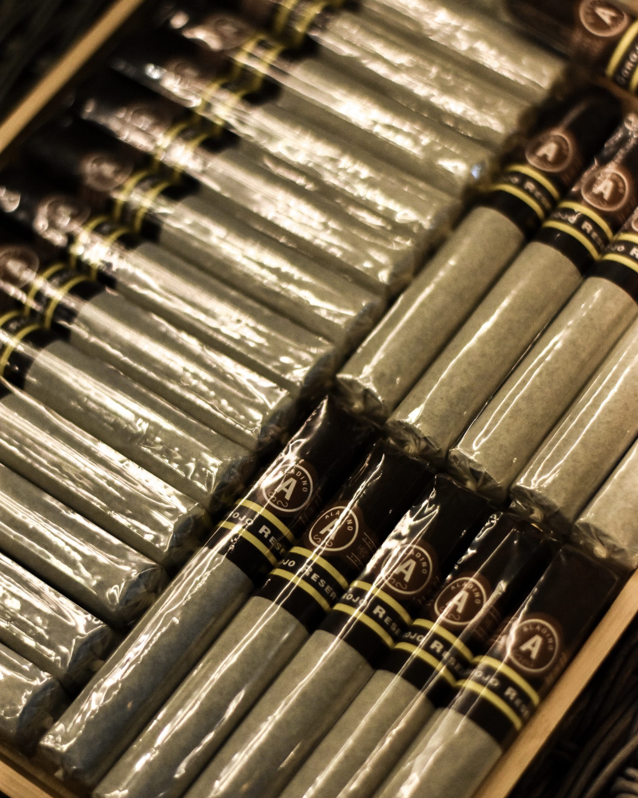 Aladino Polski Aficionado