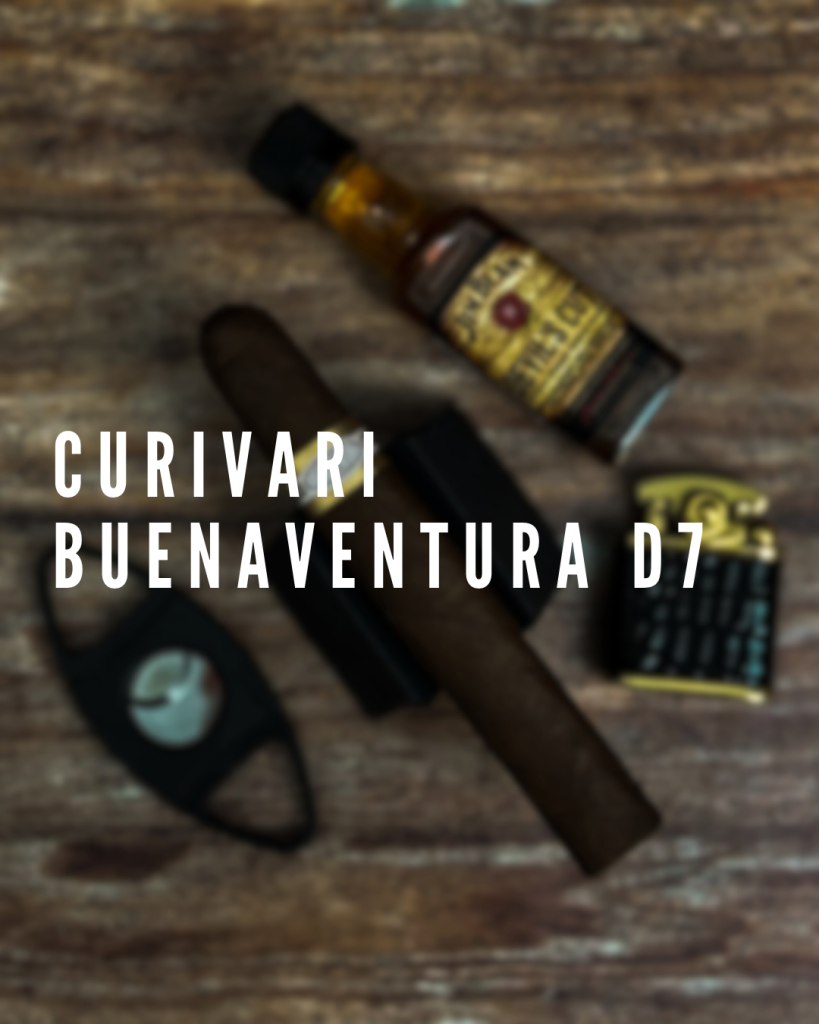Curivari Buenaventura D7 Polski Aficionado